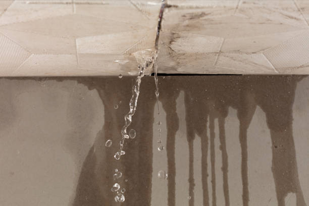 Professional Structural Drying technician working in Remus, MI